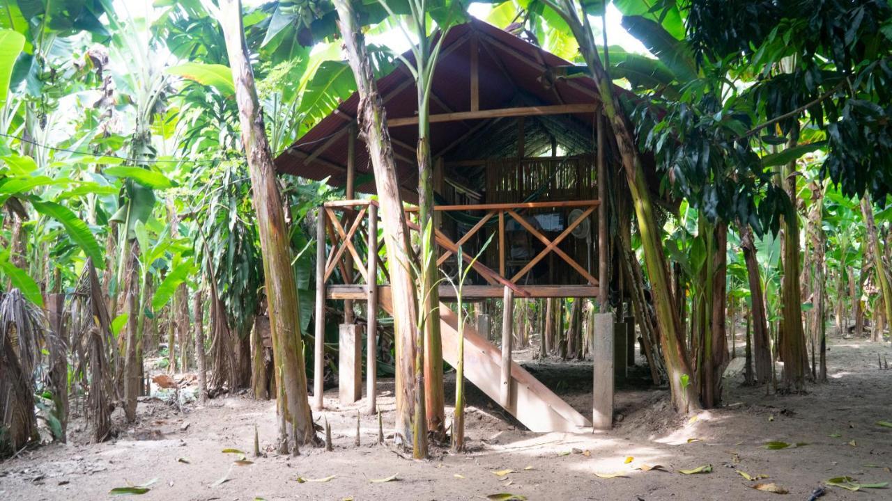 Hostel La Playita Guachaca Exteriér fotografie
