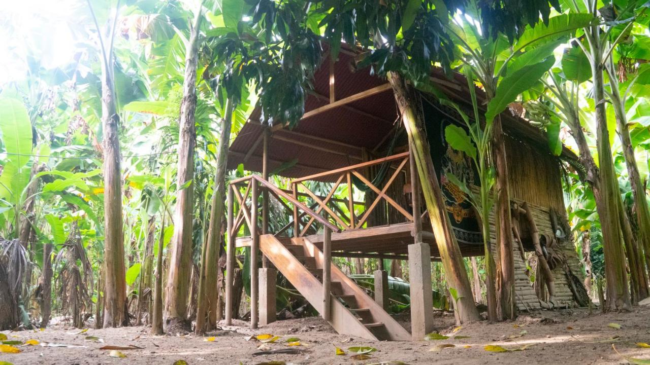 Hostel La Playita Guachaca Exteriér fotografie