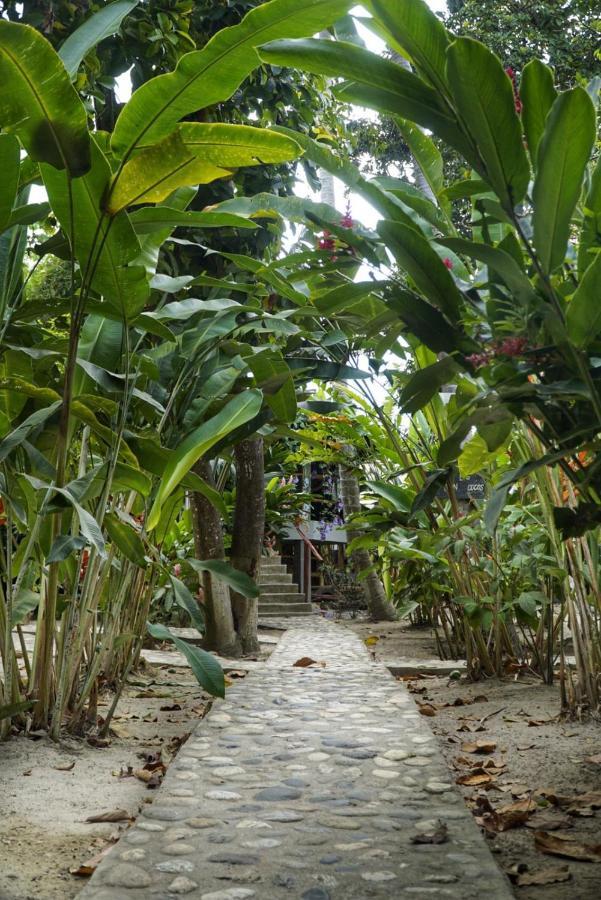 Hostel La Playita Guachaca Exteriér fotografie