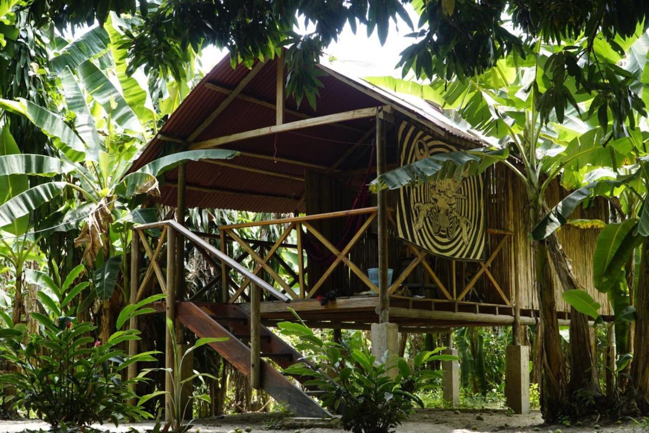 Hostel La Playita Guachaca Exteriér fotografie