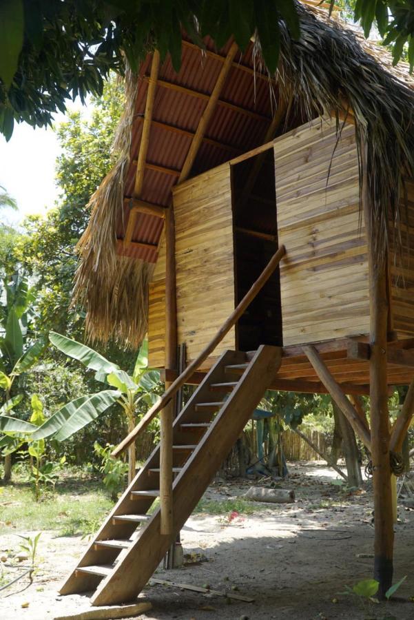 Hostel La Playita Guachaca Exteriér fotografie
