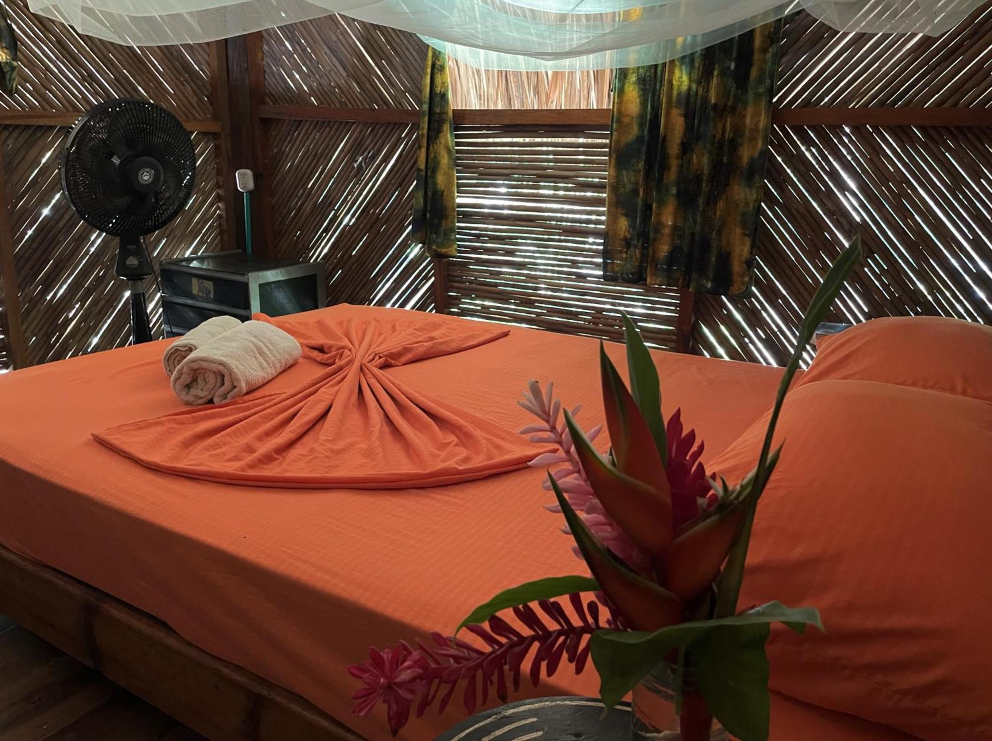 Hostel La Playita Guachaca Exteriér fotografie