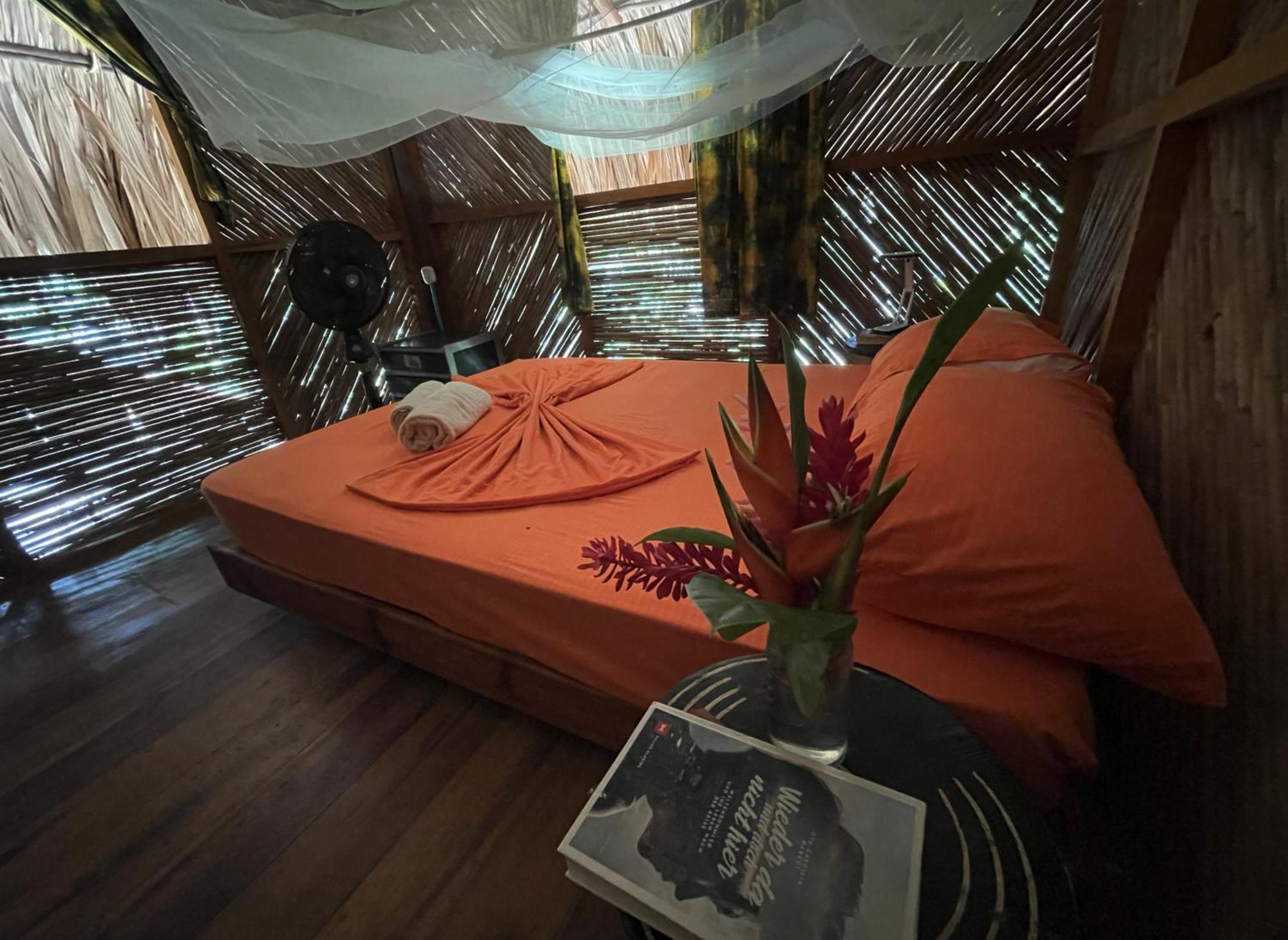 Hostel La Playita Guachaca Exteriér fotografie