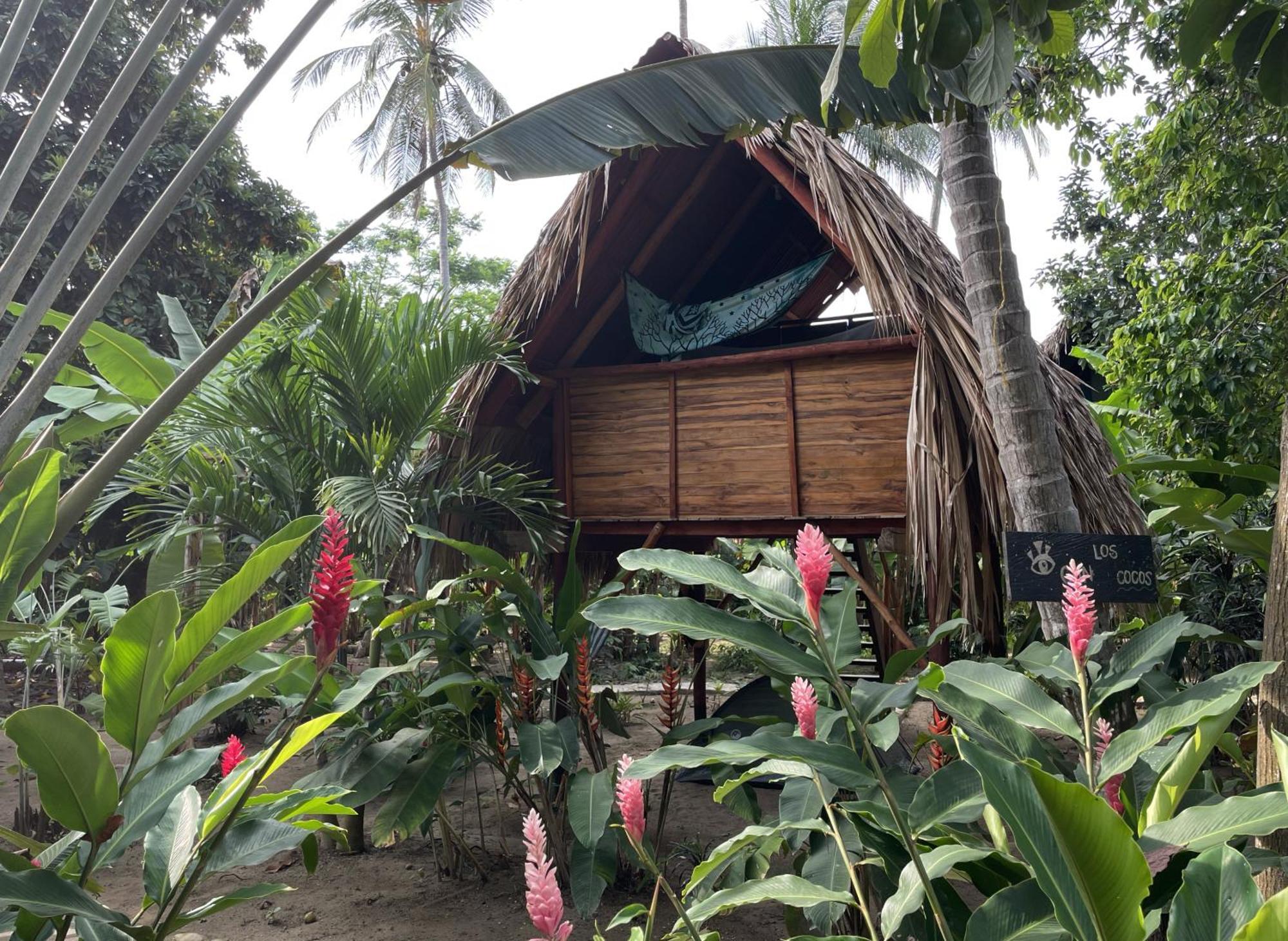 Hostel La Playita Guachaca Exteriér fotografie
