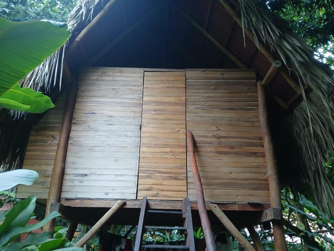 Hostel La Playita Guachaca Exteriér fotografie