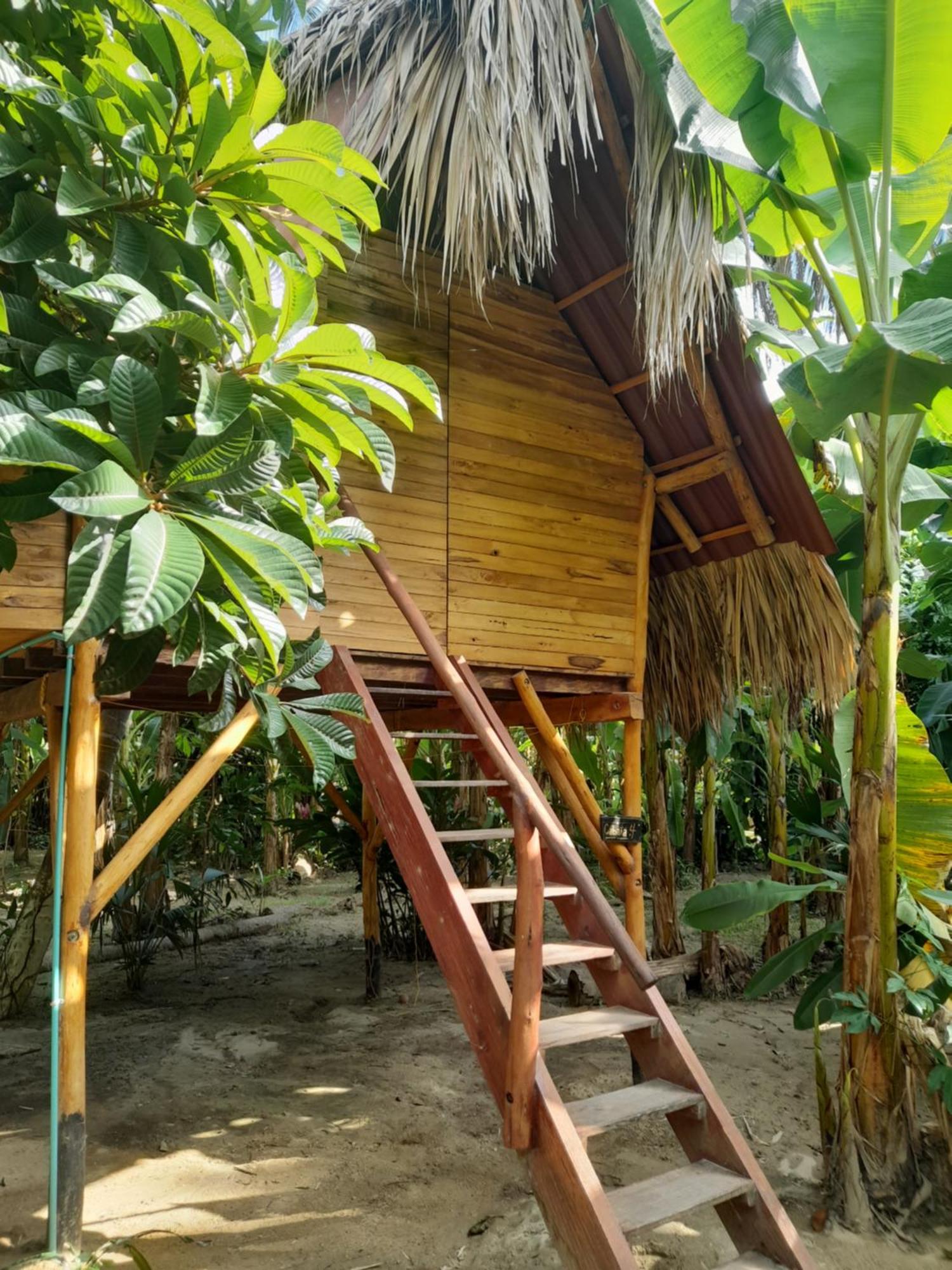 Hostel La Playita Guachaca Exteriér fotografie